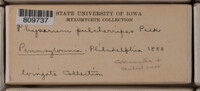 Image Associated With the Occurence